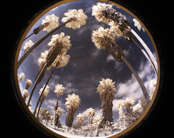 fisheye ir