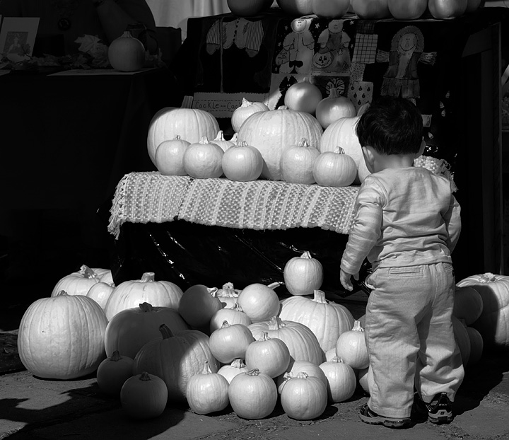 kid y pumpkin in IR
