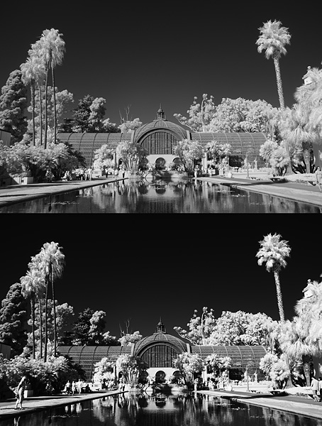 Botanical Building IR 2