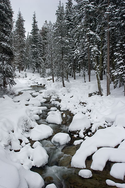 snowy creek